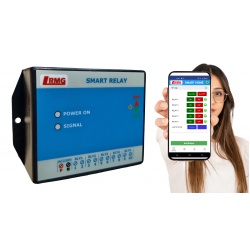 IoT/Wi-Fi Based Smart Relay Switch